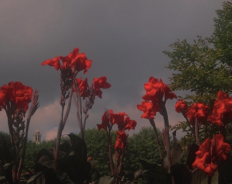 angiefae onlyfans leaked picture 1