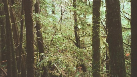 bbysadie37 onlyfans leaked picture 1