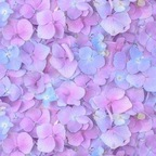 biabunnie onlyfans leaked picture 1