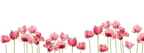 biabunnie onlyfans leaked picture 1