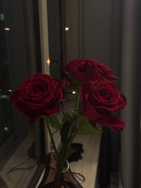 bluemingforever onlyfans leaked picture 1