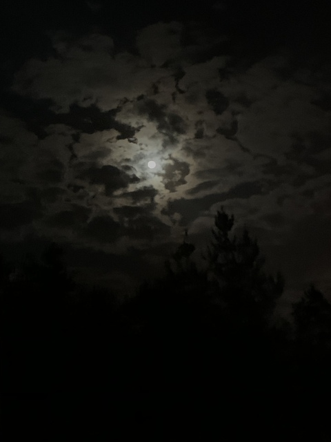 bonita93 onlyfans leaked picture 1