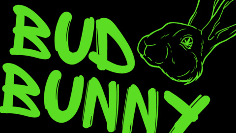 budbunnygirl420 onlyfans leaked picture 1