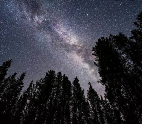 bunnnysmoneyyy onlyfans leaked picture 1