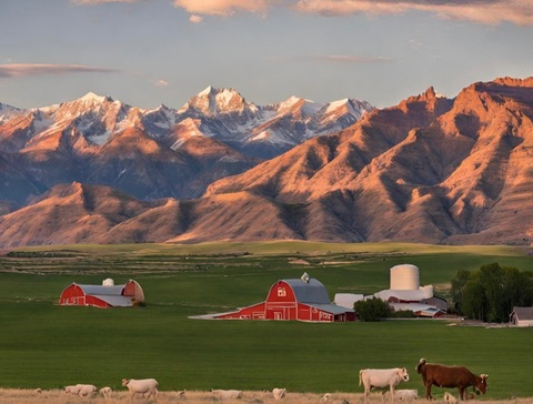 callmemissmolly onlyfans leaked picture 1