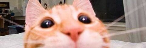 carolucht onlyfans leaked picture 1