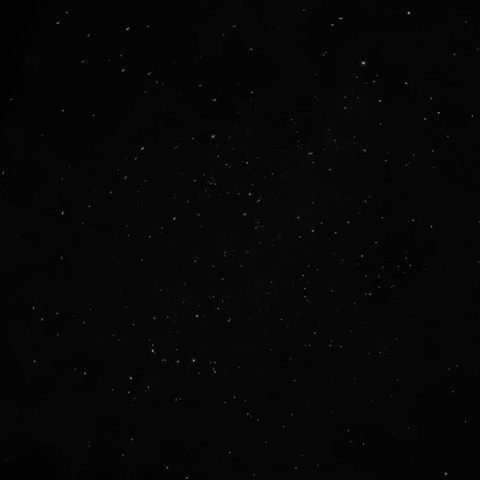 danthebear onlyfans leaked picture 1