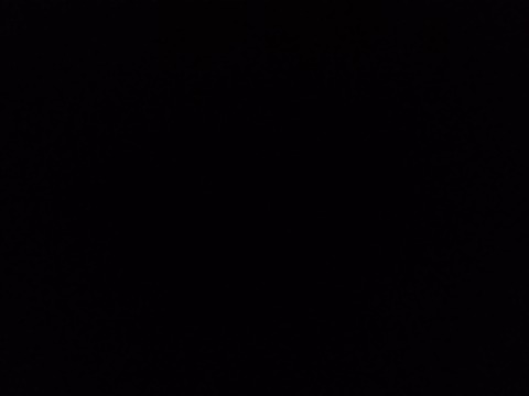 denizzzdaggg onlyfans leaked picture 1