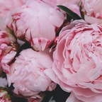 View elizamarieme (ElizaMarie) OnlyFans 49 Photos and 32 Videos leaked 

 profile picture