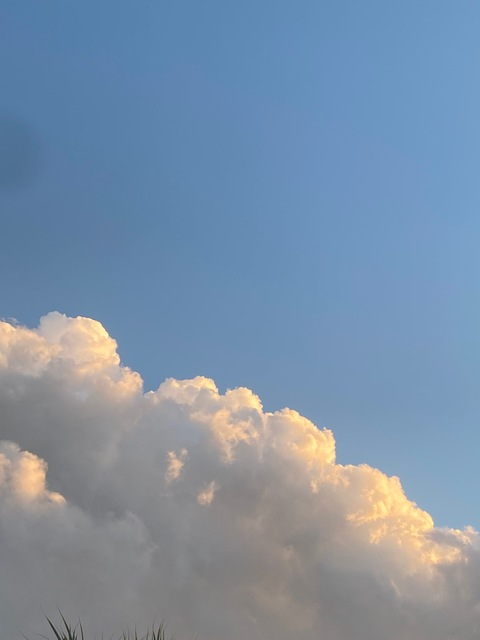 fairiwinni onlyfans leaked picture 1