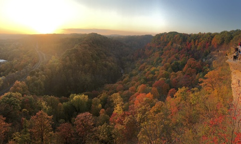 fatcocktop onlyfans leaked picture 1