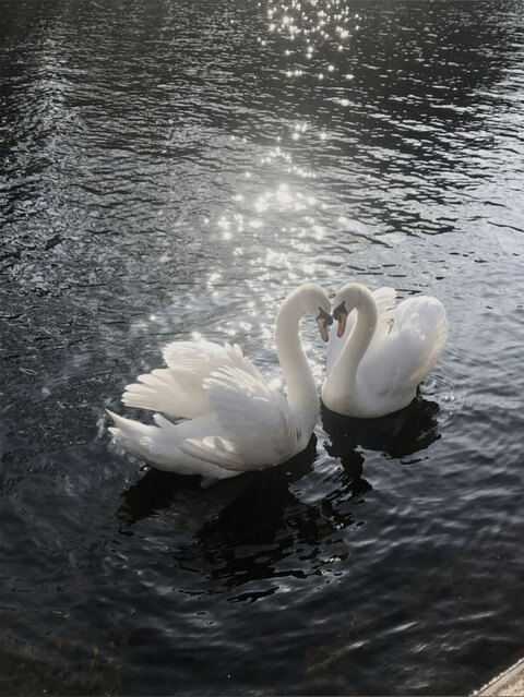 forbiddenkissx onlyfans leaked picture 1