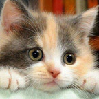 funfriendly onlyfans leaked picture 1