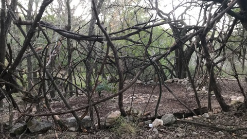 goodiewitch onlyfans leaked picture 1