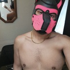 gummipup (Gummi) OnlyFans Leaks 

 profile picture