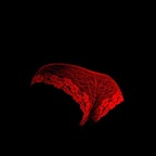 View hiykwiam OnlyFans videos and photos for free 

 profile picture