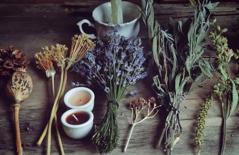 inked_indigo onlyfans leaked picture 1