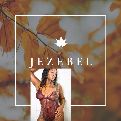 jezebel916 onlyfans leaked picture 1