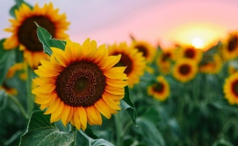 jjuani onlyfans leaked picture 1