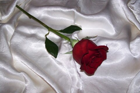 jolieebbyg onlyfans leaked picture 1