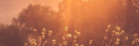 kaitybug onlyfans leaked picture 1