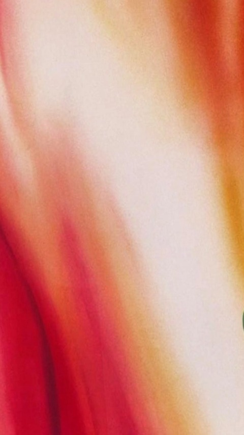 karenjaz onlyfans leaked picture 1