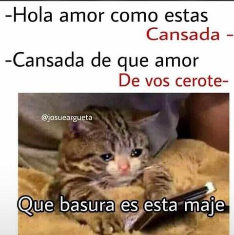 laredo onlyfans leaked picture 1