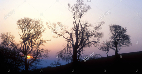 likkleniyah onlyfans leaked picture 1