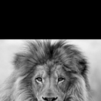 lolabb onlyfans leaked picture 1