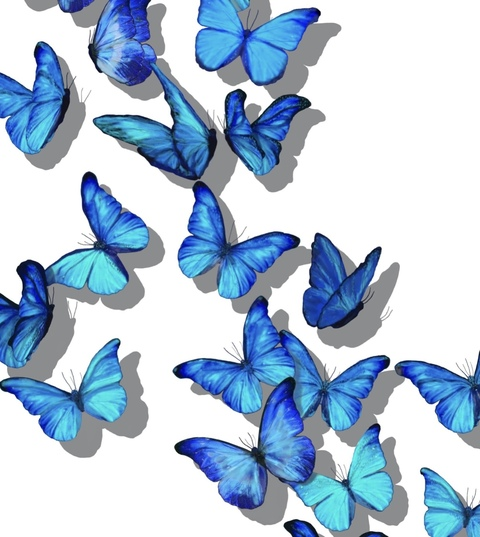 louisamikayla onlyfans leaked picture 1