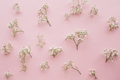 miaxcosta onlyfans leaked picture 1