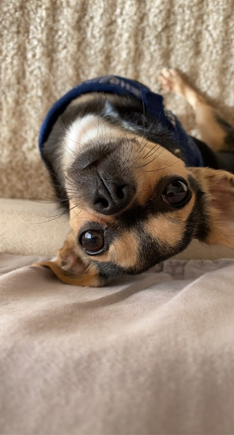 neenabean onlyfans leaked picture 1