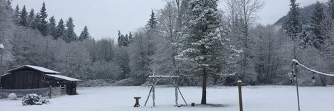 nicolelyte onlyfans leaked picture 1