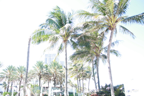 nlawsunxo onlyfans leaked picture 1