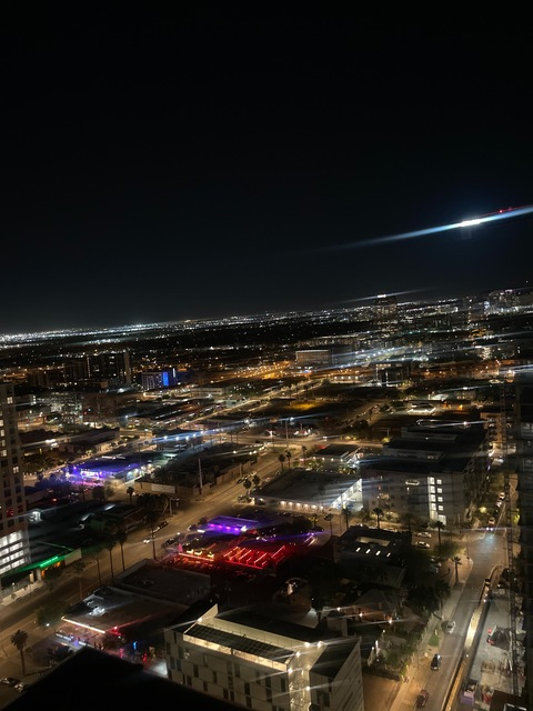 penthousebunny onlyfans leaked picture 1