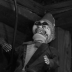 Download phelps77 OnlyFans videos and photos for free 

 profile picture