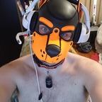 View pup-patches (Patches the Pumpkin King) OnlyFans 49 Photos and 32 Videos leaked 

 profile picture