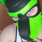 View PupSnowball (pupsnowball) OnlyFans 93 Photos and 32 Videos for free 

 profile picture