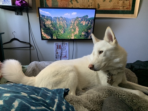 saintpadrick onlyfans leaked picture 1