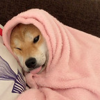 spcegrl OnlyFans Leak (49 Photos and 32 Videos) 

 profile picture