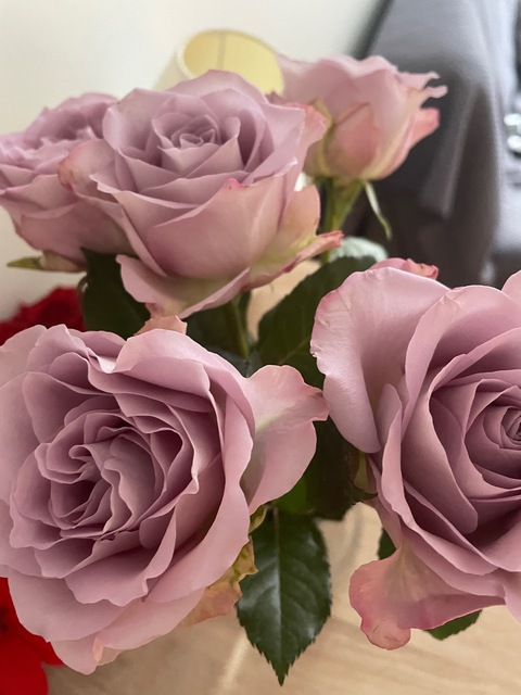 sss_ttt onlyfans leaked picture 1