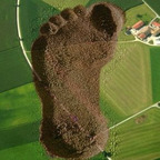 View studioakira OnlyFans videos and photos for free 

 profile picture