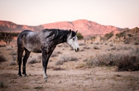 u81154966 onlyfans leaked picture 1