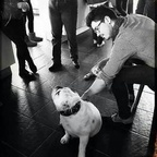 viborg onlyfans leaked picture 1