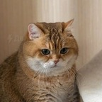 View wasblessed OnlyFans content for free 

 profile picture