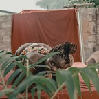 New @weak2u leak Onlyfans videos and photos for free 

 profile picture